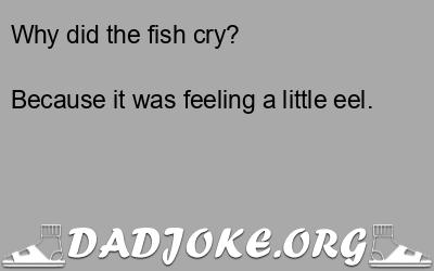 Why did the fish cry? Because it was feeling a little eel. - Dad Joke