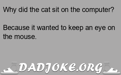 Why did the cat sit on the computer? Because it wanted to keep an eye on the mouse. - Dad Joke