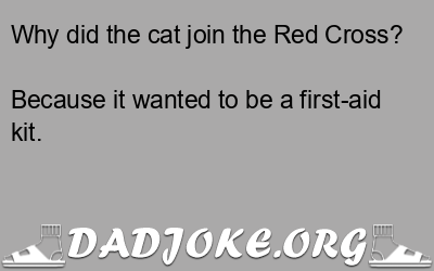 Why did the cat join the Red Cross? Because it wanted to be a first-aid kit. - Dad Joke
