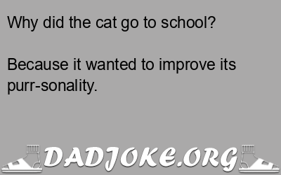 Why did the cat go to school? Because it wanted to improve its purr-sonality. - Dad Joke