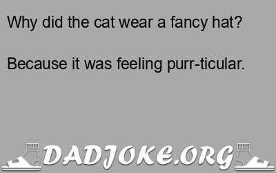 Why did the cat wear a fancy hat? Because it was feeling purr-ticular. - Dad Joke