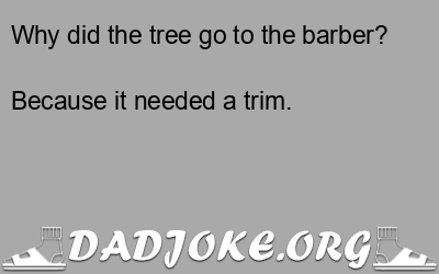 Why did the tree go to the barber? Because it needed a trim. - Dad Joke