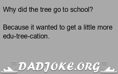 Why did the tree go to school? Because it wanted to get a little more edu-tree-cation. - Dad Joke