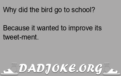 Why did the bird go to school? Because it wanted to improve its tweet-ment. - Dad Joke