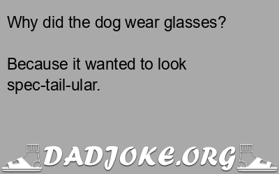 Why did the dog wear glasses? Because it wanted to look spec-tail-ular. - Dad Joke