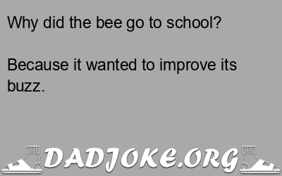Why did the bee go to school? Because it wanted to improve its buzz. - Dad Joke