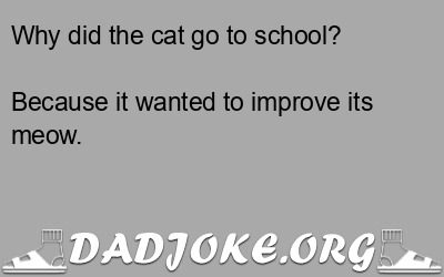 Why did the cat go to school? Because it wanted to improve its meow. - Dad Joke