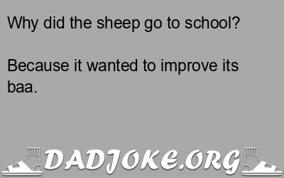 Why did the sheep go to school? Because it wanted to improve its baa. - Dad Joke