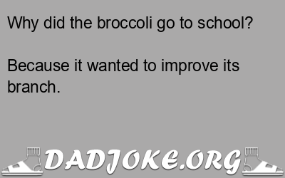 Why did the broccoli go to school? Because it wanted to improve its branch. - Dad Joke
