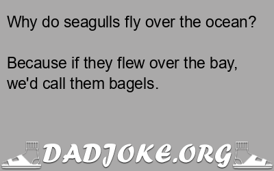 Why do seagulls fly over the ocean? Because if they flew over the bay, we'd call them bagels. - Dad Joke