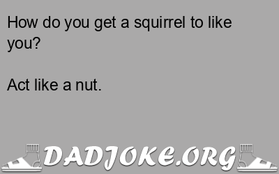 How do you get a squirrel to like you? Act like a nut. - Dad Joke