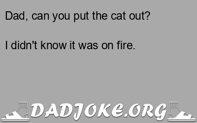 Dad, can you put the cat out? I didn't know it was on fire. - Dad Joke