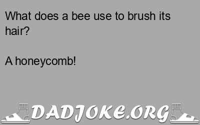 What does a bee use to brush its hair? A honeycomb! - Dad Joke