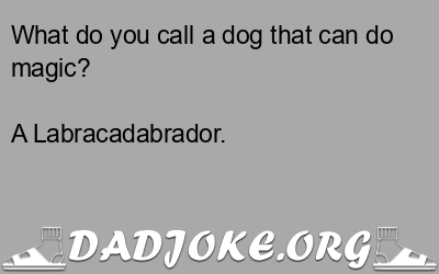 What do you call a dog that can do magic? A Labracadabrador. - Dad Joke