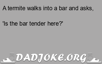 A termite walks into a bar and asks, 'Is the bar tender here?' - Dad Joke