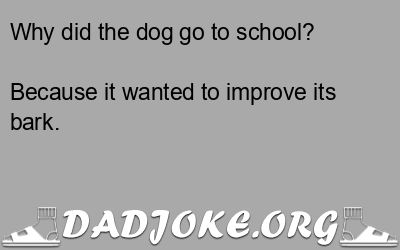 Why did the dog go to school? – Dad Joke