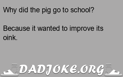 Why did the pig go to school? – Dad Joke