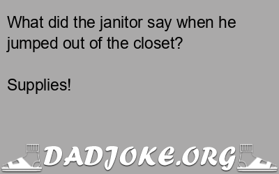 What did the janitor say when he jumped out of the closet? – Dad Joke