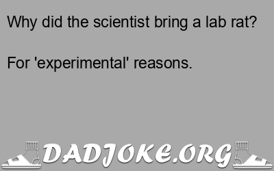 Why did the scientist bring a lab rat? – Dad Joke