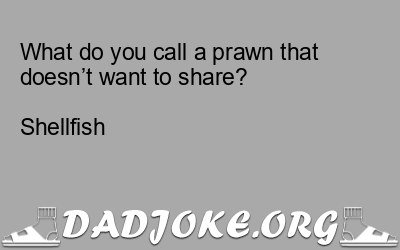 What do you call a prawn that doesn’t want to share?