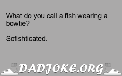 What do you call a fish wearing a bowtie?